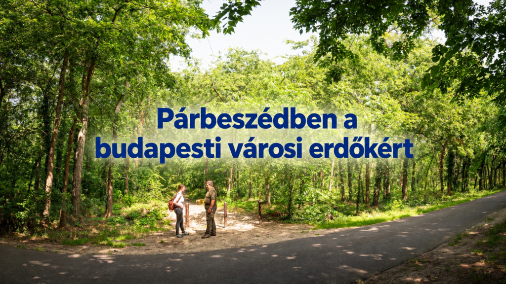 Párbeszéd a budapesti erdőkért